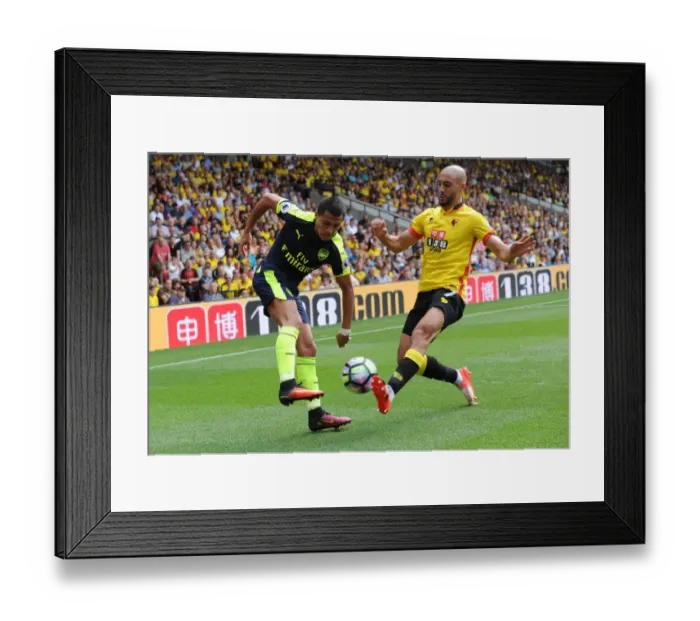 Framed Print : Alexis Sanchez (Arsenal) Nordin Amrabat (Watford). Watford 1: 3 Arsenal. Premier League Framed Print : Alexis Sanchez (Arsenal) Nordin Amrabat (Watford). Watford 1: 3 Arsenal. Premier League