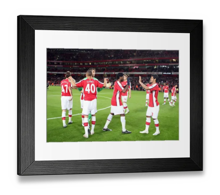 Framed Print : Lukasz Fabianski Framed Print : Lukasz Fabianski