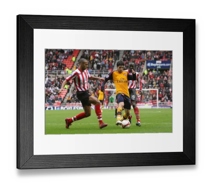 Framed Print : Cesc Fabregas (Arsenal) Anton Ferdinand (Sunderland) Framed Print : Cesc Fabregas (Arsenal) Anton Ferdinand (Sunderland)