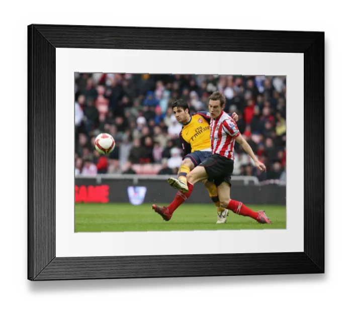 Framed Print : Cesc Fabregas (Arsenal) Dean Whitehead (Sunderland) Framed Print : Cesc Fabregas (Arsenal) Dean Whitehead (Sunderland)