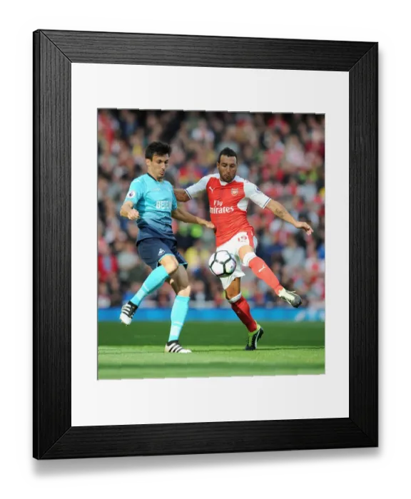 Framed Print : Intense Rivalry: Cazorla vs. Cork Clash at Arsenal vs Swansea City
