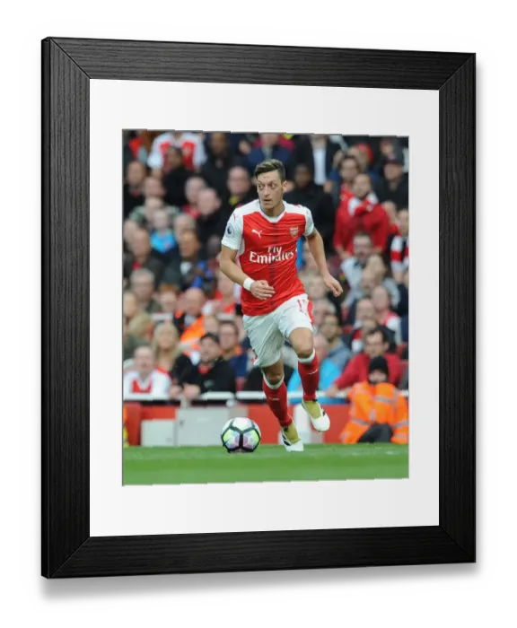 Framed Print : Mesut Ozil in Action: Arsenal vs Swansea City, Premier League 2016-17 Framed Print : Mesut Ozil in Action: Arsenal vs Swansea City, Premier League 2016-17