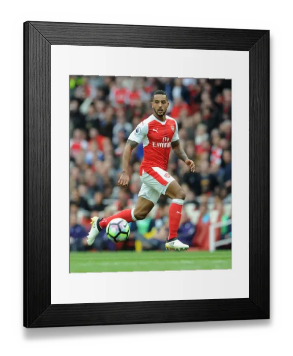 Framed Print : Theo Walcott in Action: Arsenal vs Swansea City, Premier League 2016-17 Framed Print : Theo Walcott in Action: Arsenal vs Swansea City, Premier League 2016-17