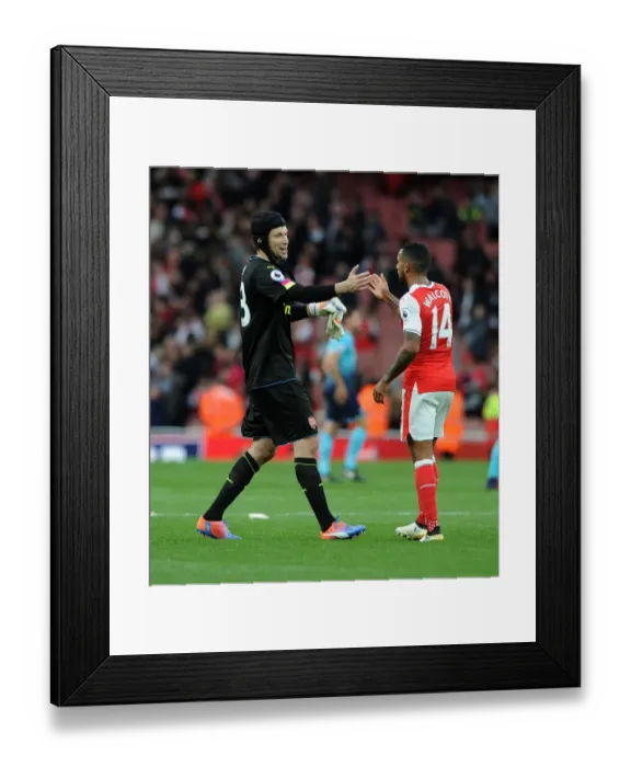 Framed Print : Arsenal's Cech and Walcott: Celebrating Victory Over Swansea City (2016-17) Framed Print : Arsenal's Cech and Walcott: Celebrating Victory Over Swansea City (2016-17)