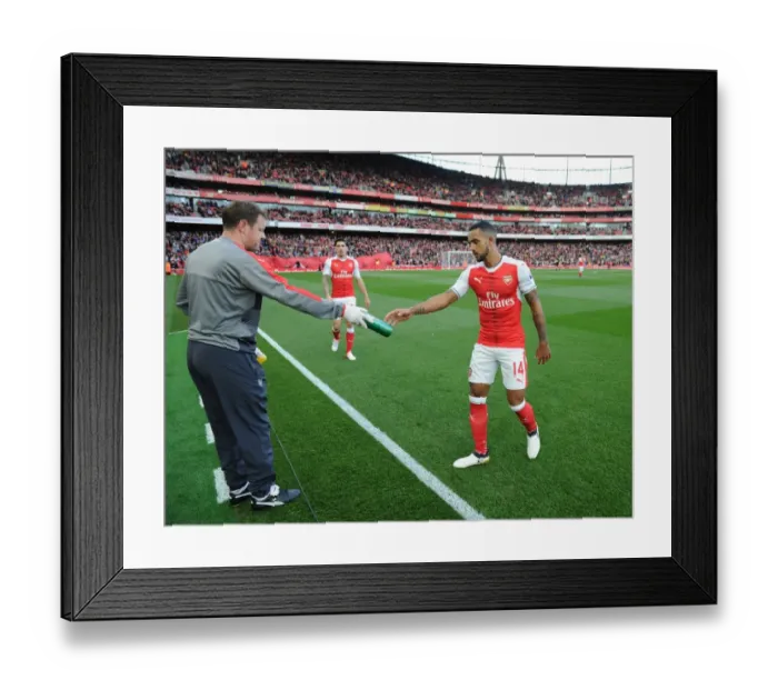Framed Print : Arsenal's Theo Walcott Hydrates with Physio Colin Lewin Before Arsenal v Swansea City (2016-17) Framed Print : Arsenal's Theo Walcott Hydrates with Physio Colin Lewin Before Arsenal v Swansea City (2016-17)
