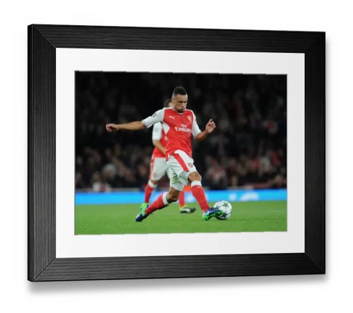 Framed Print : Arsenal's Coquelin Fights for Victory Against Ludogorets in Champions League Framed Print : Arsenal's Coquelin Fights for Victory Against Ludogorets in Champions League