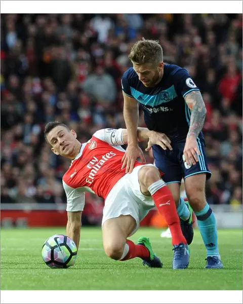 Arsenal's Koscielny Faces Off Against Middlesbrough's Clayton