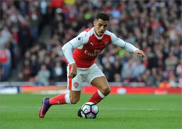 Alexis Sanchez: Arsenal's Dynamic Force Against Middlesbrough, Premier League 2016-17