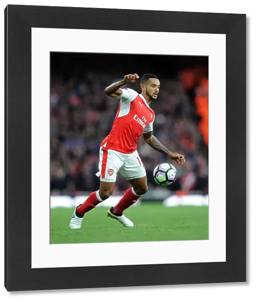 Theo Walcott in Action: Arsenal vs Middlesbrough, Premier League 2016-17