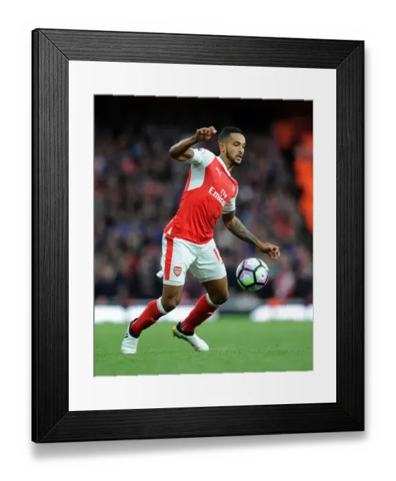Framed Print : Theo Walcott in Action: Arsenal vs Middlesbrough, Premier League 2016-17 Framed Print : Theo Walcott in Action: Arsenal vs Middlesbrough, Premier League 2016-17
