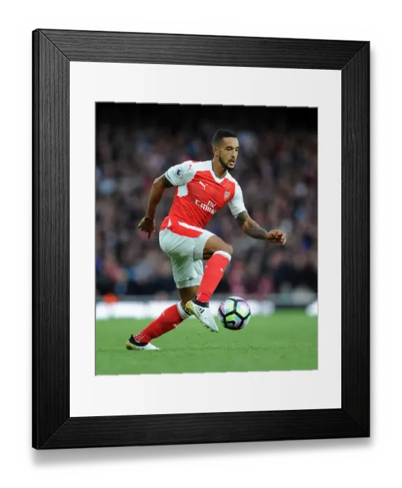 Framed Print : Theo Walcott in Action: Arsenal vs Middlesbrough, Premier League 2016-17 Framed Print : Theo Walcott in Action: Arsenal vs Middlesbrough, Premier League 2016-17