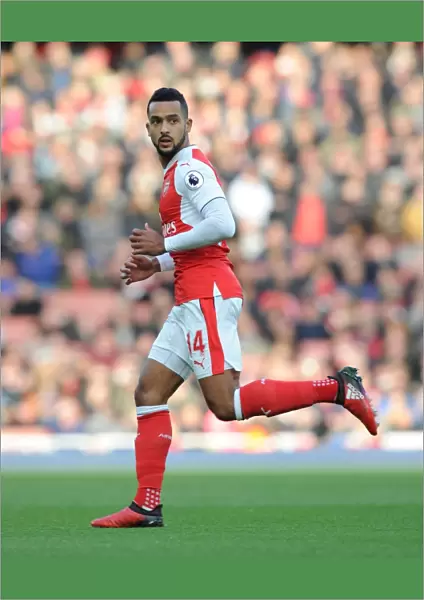 Theo Walcott in Action: Arsenal vs AFC Bournemouth, Premier League 2016 / 17