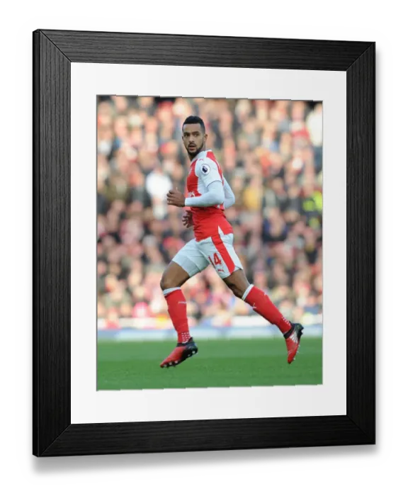 Framed Print : Theo Walcott in Action: Arsenal vs AFC Bournemouth, Premier League 2016 / 17 Framed Print : Theo Walcott in Action: Arsenal vs AFC Bournemouth, Premier League 2016 / 17