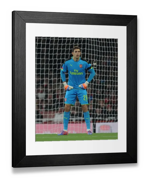 Framed Print : Emiliano Martinez: Arsenal's EFL Cup Hero vs Southampton (2016-17) Framed Print : Emiliano Martinez: Arsenal's EFL Cup Hero vs Southampton (2016-17)
