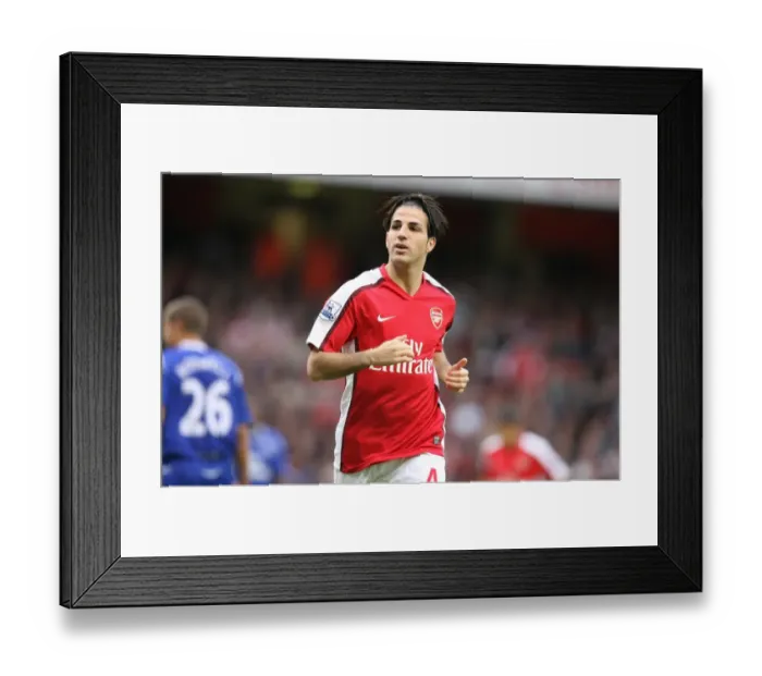 Framed Print : Arsenal's Triumph: Fabregas Shines in 3:1 Victory over Everton, October 2008 Framed Print : Arsenal's Triumph: Fabregas Shines in 3:1 Victory over Everton, October 2008
