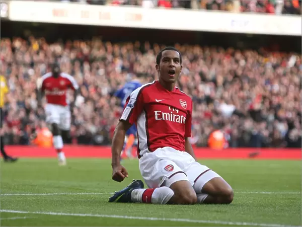 Theo Walcott celebrates scoring the 3rd Arsenal goal