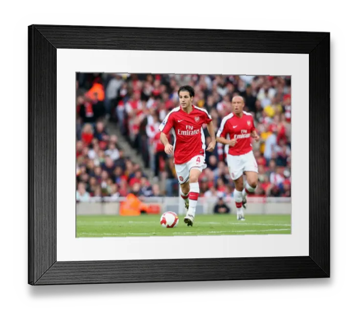 Framed Print : Cesc Fabregas Brilliant Performance: Arsenal's 3-1 Victory over Everton (18 / 10 / 08)