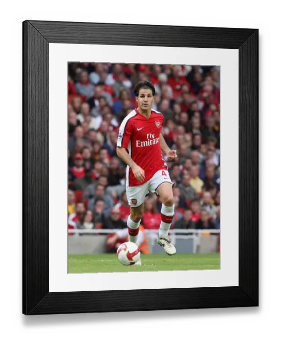 Framed Print : Cesc Fabregas Triumph: Arsenal's 3-1 Victory over Everton (18 / 10 / 08)