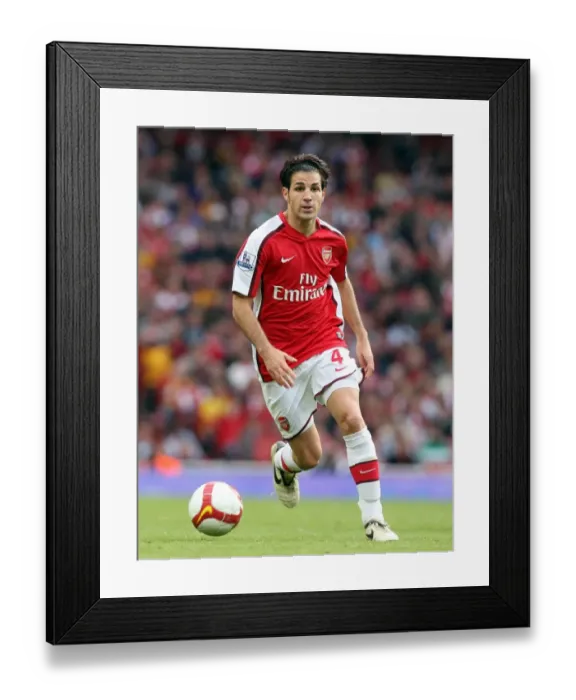 Framed Print : Cesc Fabregas Triumph: Arsenal's 3:1 Barclays Premier League Victory over Everton (18 / 10 / 08) Framed Print : Cesc Fabregas Triumph: Arsenal's 3:1 Barclays Premier League Victory over Everton (18 / 10 / 08)