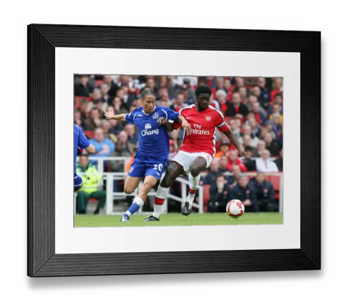 Framed Print : Kolo Toure (Arsenal) Steven Pienaar (Everton) Framed Print : Kolo Toure (Arsenal) Steven Pienaar (Everton)