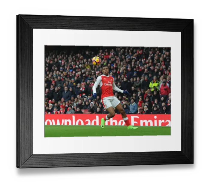 Framed Print : Arsenal's Alex Iwobi in Action during Premier League Match vs Hull City (2016-17) Framed Print : Arsenal's Alex Iwobi in Action during Premier League Match vs Hull City (2016-17)