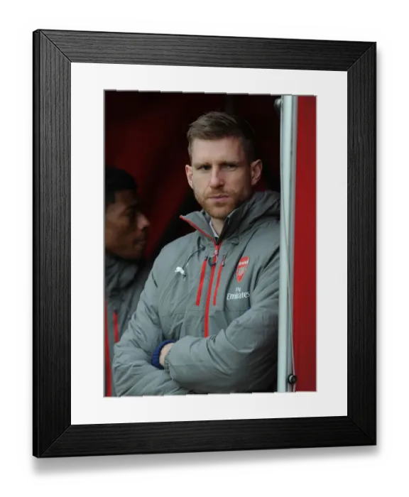 Framed Print : Arsenal's Per Mertesacker Before Arsenal v Hull City, Premier League 2016-17 Framed Print : Arsenal's Per Mertesacker Before Arsenal v Hull City, Premier League 2016-17