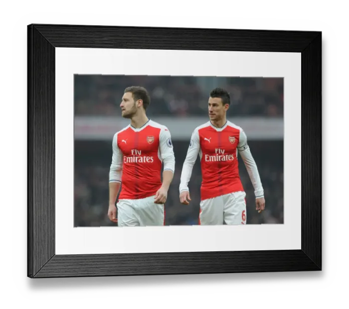 Framed Print : Arsenal's Mustafi and Koscielny in Action against Hull City (2016-17) Framed Print : Arsenal's Mustafi and Koscielny in Action against Hull City (2016-17)