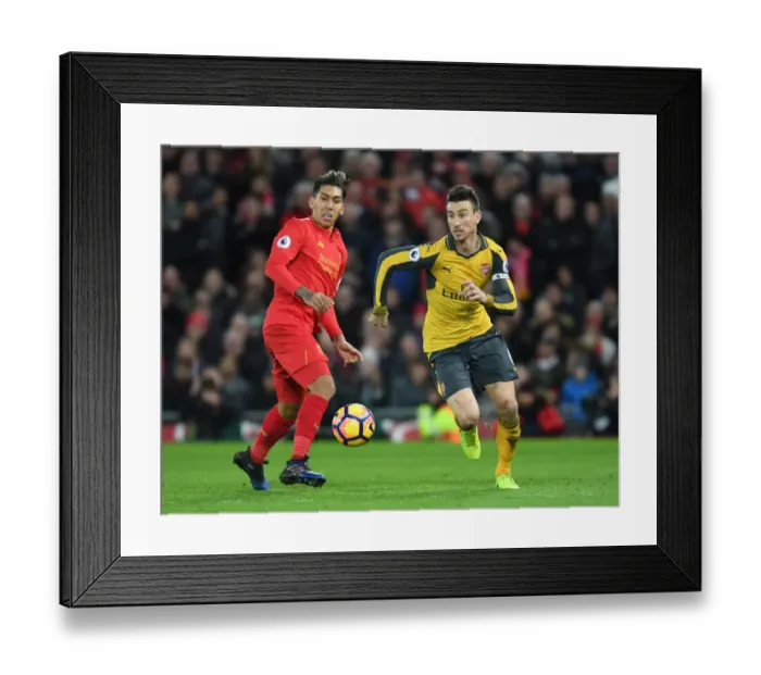 Framed Print : Arsenal's Koscielny Battles Past Firmino in Intense Liverpool vs. Arsenal Clash (Premier League 2016-17) Framed Print : Arsenal's Koscielny Battles Past Firmino in Intense Liverpool vs. Arsenal Clash (Premier League 2016-17)