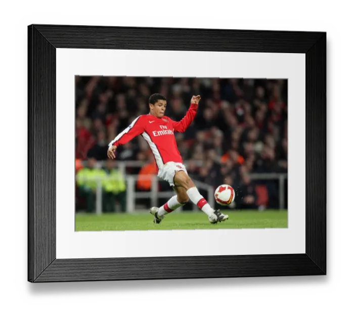 Framed Print : Denilson of Arsenal in Action Against Tottenham Hotspur during the Exciting 4:4 Barclays Premier League Match at Emirates Stadium, October 29, 2008 Framed Print : Denilson of Arsenal in Action Against Tottenham Hotspur during the Exciting 4:4 Barclays Premier League Match at Emirates Stadium, October 29, 2008