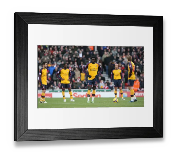 Framed Print : Triumph at The Britannia: Adebayor, Fabregas, Song Lead Arsenal Past Stoke, 1:2 Framed Print : Triumph at The Britannia: Adebayor, Fabregas, Song Lead Arsenal Past Stoke, 1:2