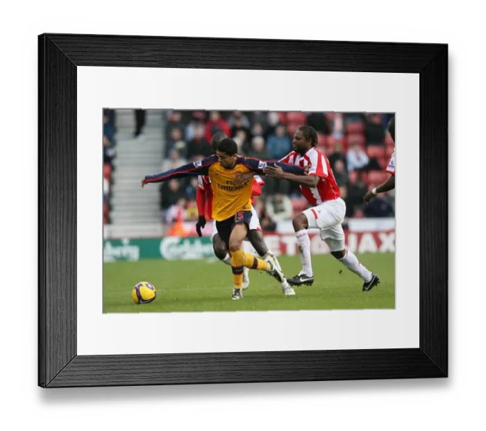 Framed Print : Denilson vs. Salif Diao: Arsenal's Edge at The Britannia Stadium, 1:2 Victory over Stoke, 2008