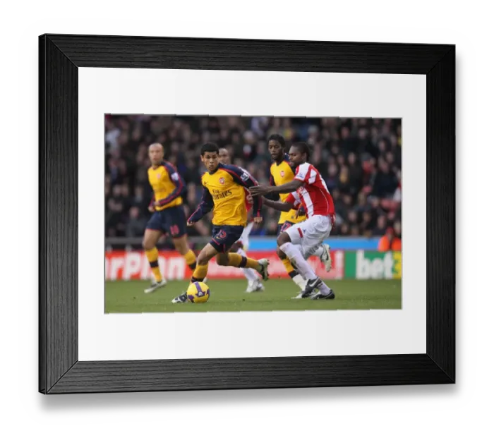 Framed Print : Denilson's Defiant Performance: Arsenal's 2-1 Victory over Stoke City, November 2008 Framed Print : Denilson's Defiant Performance: Arsenal's 2-1 Victory over Stoke City, November 2008