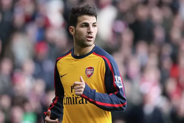 Cesc Fabregas: Leading Arsenal to Victory - 1-2 Win over Stoke City, Barclays Premier League, 2008