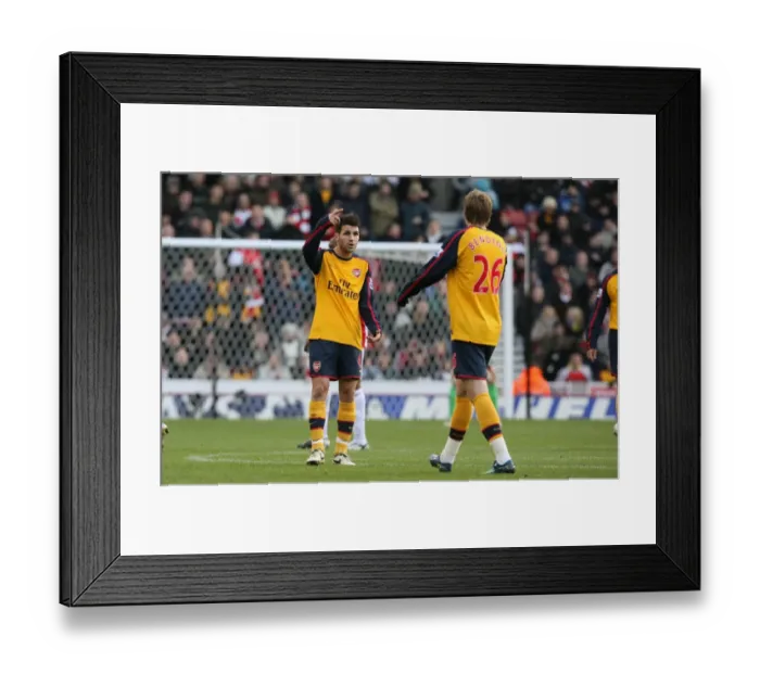 Framed Print : Cesc Fabregas and Nicklas Bendtner (Arsenal) Framed Print : Cesc Fabregas and Nicklas Bendtner (Arsenal)