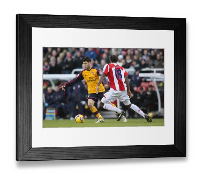 Framed Print : Cesc Fabregas Leads Arsenal to Victory over Stoke: 1-2 Framed Print : Cesc Fabregas Leads Arsenal to Victory over Stoke: 1-2