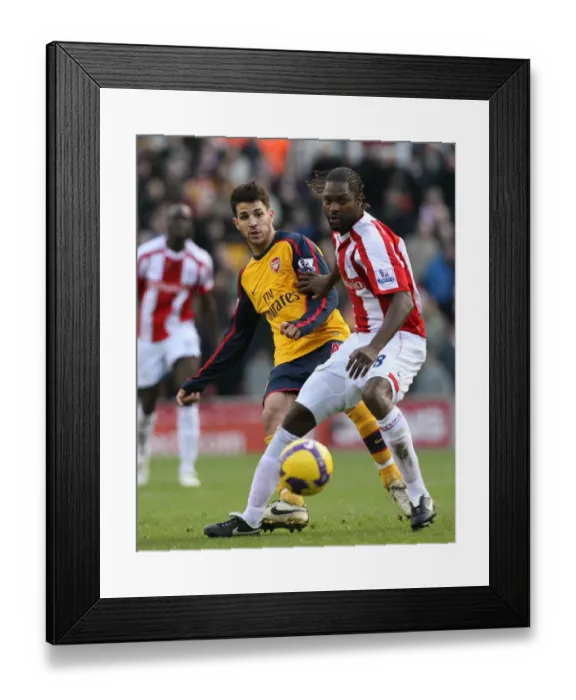 Framed Print : Cesc Fabregas (Arsenal) Salif Diao (Stoke) Framed Print : Cesc Fabregas (Arsenal) Salif Diao (Stoke)