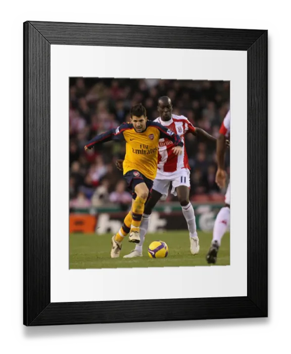 Framed Print : Cesc Fabregas (Arsenal) Mamady Sidibe (Stoke) Framed Print : Cesc Fabregas (Arsenal) Mamady Sidibe (Stoke)