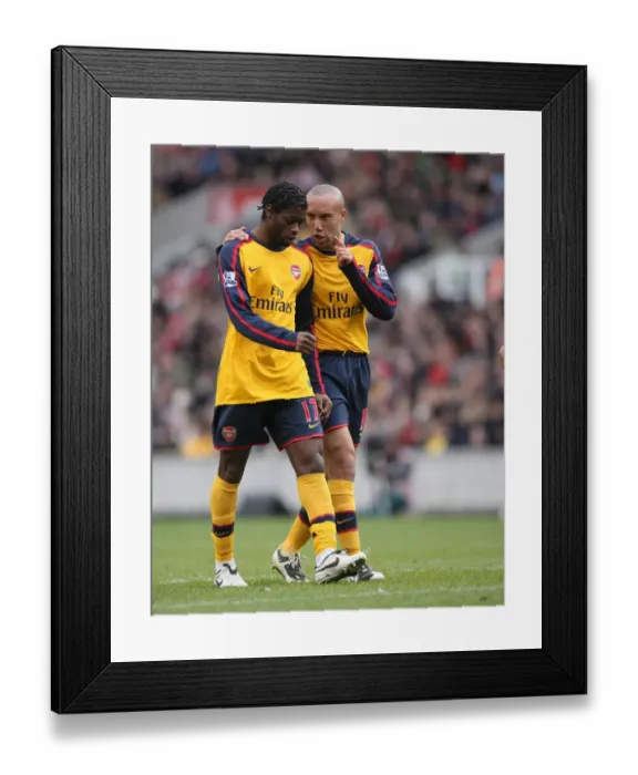 Framed Print : Mikael Silvestre and Alex Song (Arsenal) Framed Print : Mikael Silvestre and Alex Song (Arsenal)