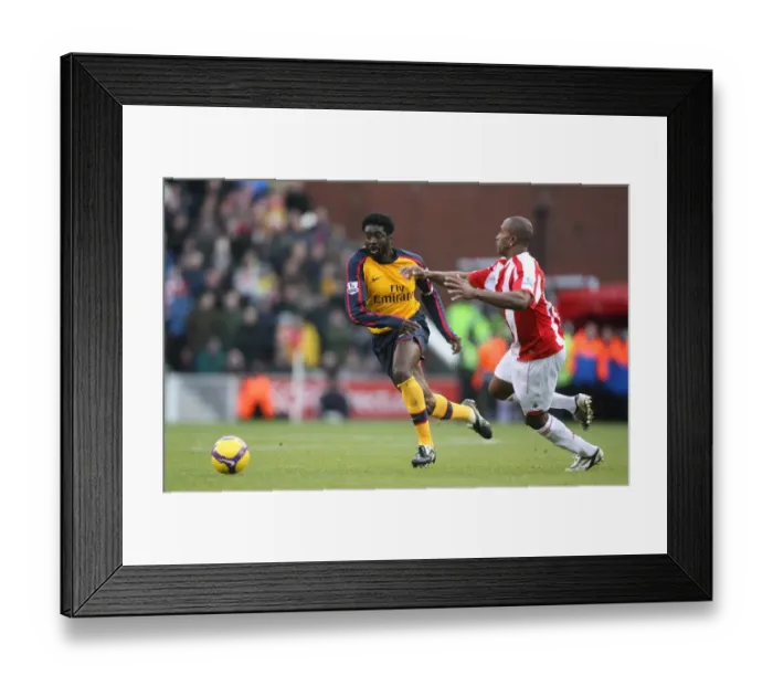 Framed Print : Kolo Toure (Arsenal) Ricardo Fuller (Stoke) Framed Print : Kolo Toure (Arsenal) Ricardo Fuller (Stoke)