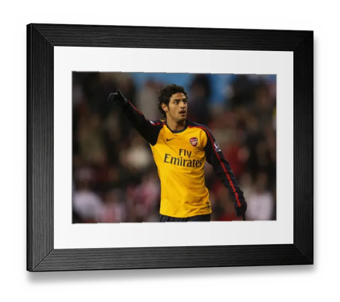 Framed Print : Carlos Vela's Brilliant Brace: Arsenal's 2-1 Victory Over Stoke City, 2008