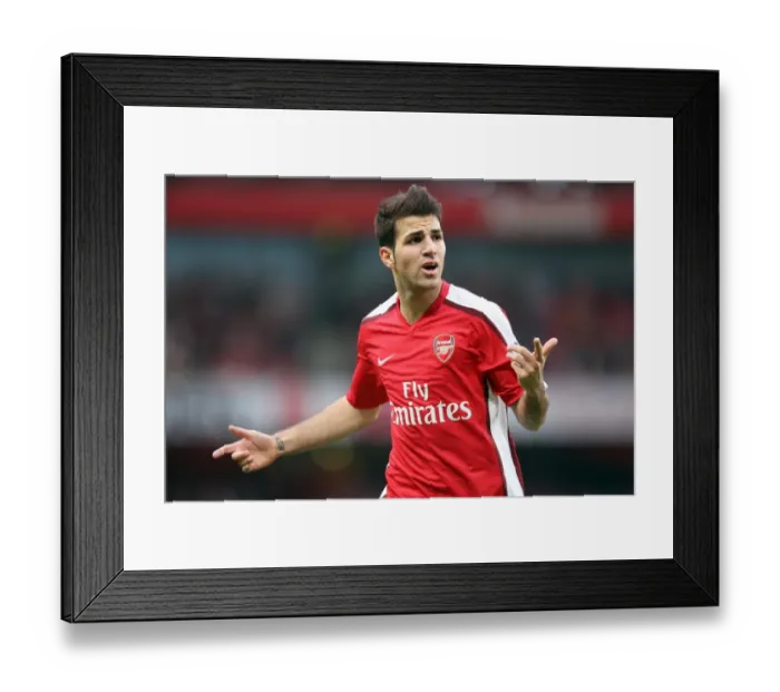 Framed Print : Cesc Fabregas Scores Twice Against Arsenal: Aston Villa's 2-0 Victory in the Barclays Premier League, Emirates Stadium, 15 / 11 / 08