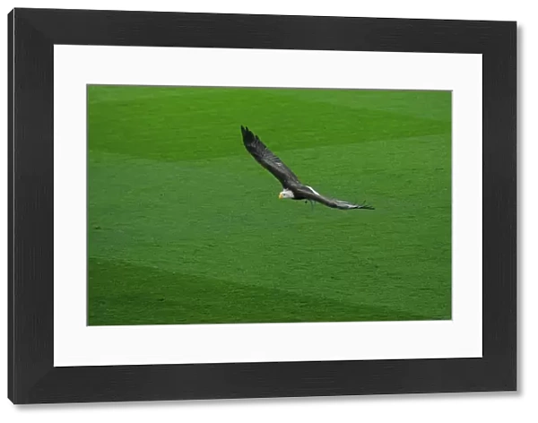 Crystal Palace eagle. Crystal Palace 3: 0 Arsenal. Premier League. Selhurst Park, 10  /  4  /  17