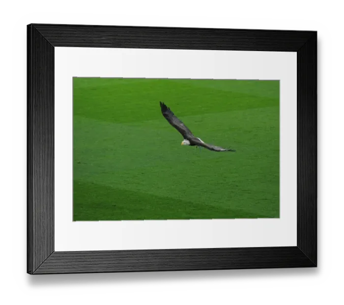 Framed Print : Crystal Palace eagle. Crystal Palace 3: 0 Arsenal. Premier League. Selhurst Park, 10 / 4 / 17 Framed Print : Crystal Palace eagle. Crystal Palace 3: 0 Arsenal. Premier League. Selhurst Park, 10 / 4 / 17