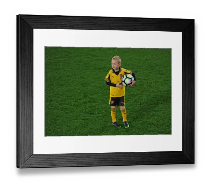 Framed Print : Arsenal mascot. Crystal Palace 3: 0 Arsenal. Premier League. Selhurst Park, 10 / 4 / 17 Framed Print : Arsenal mascot. Crystal Palace 3: 0 Arsenal. Premier League. Selhurst Park, 10 / 4 / 17