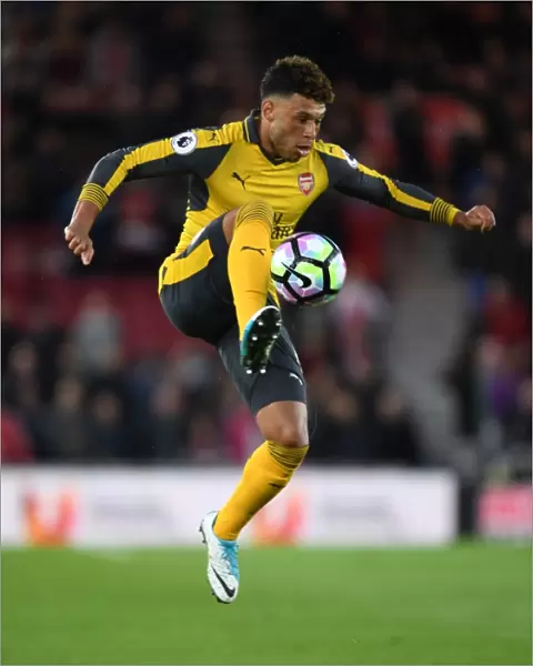 Alex Oxlade-Chamberlain in Action: Arsenal vs Middlesbrough, Premier League 2016-17