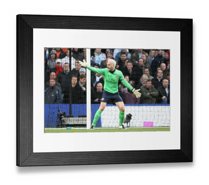 Framed Print : Manuel Almunia's Disappointing Day: Manchester City Crushes Arsenal 3-0 in the Premier League Framed Print : Manuel Almunia's Disappointing Day: Manchester City Crushes Arsenal 3-0 in the Premier League