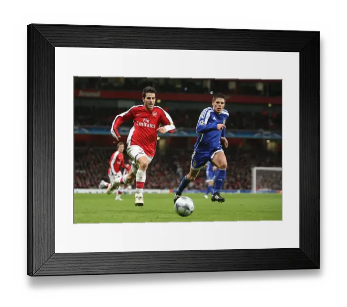 Framed Print : Cesc Fabregas (Arsenal) Ognjen Vukojevic (Dynamo Kyiv) Framed Print : Cesc Fabregas (Arsenal) Ognjen Vukojevic (Dynamo Kyiv)