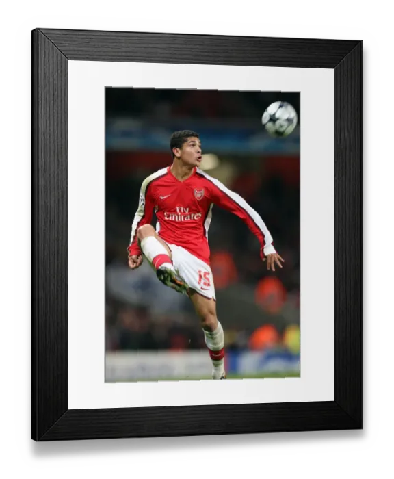 Framed Print : Denilson's Victory: Arsenal 1-0 Dynamo Kiev, UEFA Champions League, Group G, Emirates Stadium (November 25, 2008)