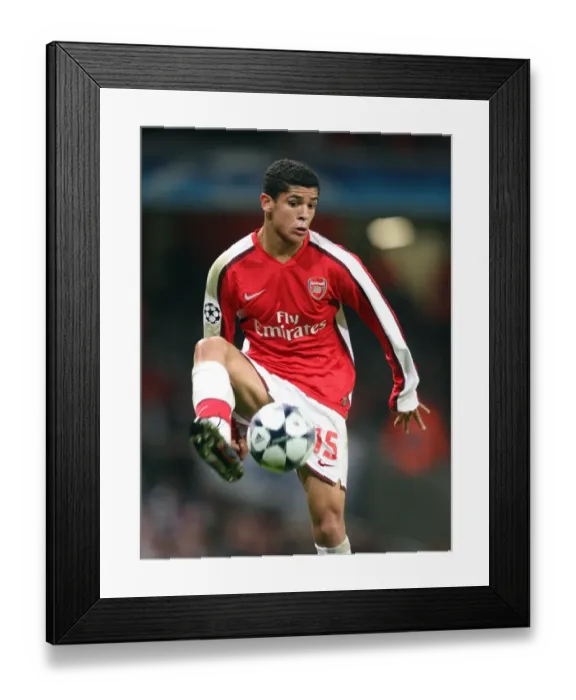 Framed Print : Denilson's Winning Goal: Arsenal 1-0 Dynamo Kiev, UEFA Champions League, Group G, Emirates Stadium (November 25, 2008)