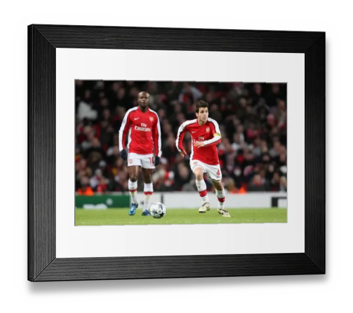 Framed Print : Cesc Fabregas: Leading Arsenal to a 1:0 Victory Over Dynamo Kiev in the UEFA Champions League, Group G at Emirates Stadium (November 25, 2008) Framed Print : Cesc Fabregas: Leading Arsenal to a 1:0 Victory Over Dynamo Kiev in the UEFA Champions League, Group G at Emirates Stadium (November 25, 2008)